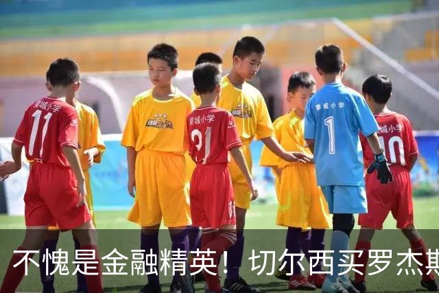 不愧是金融精英！切尔西买罗杰斯成本不高，跟帕尔默共存没问题