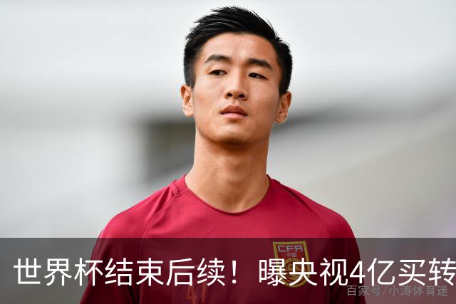 世界杯结束后续！曝央视4亿买转播版权，盈利超50亿，下一届更高