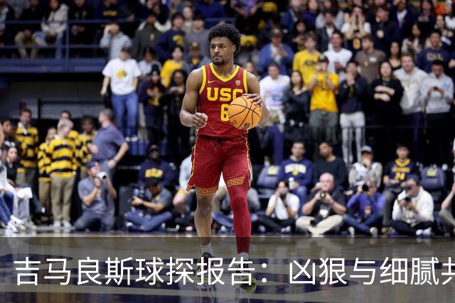 吉马良斯球探报告：凶狠与细腻共存，阿森纳这7500万花的太值